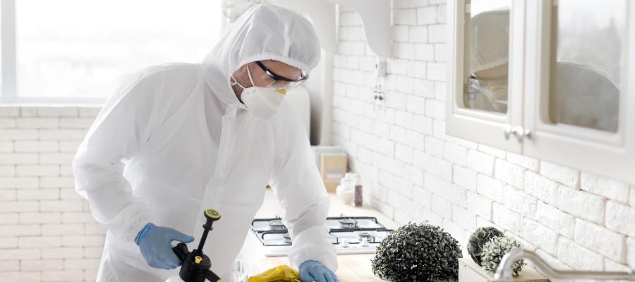 Why Is Pest control services Not Working and What Can I Do About It?