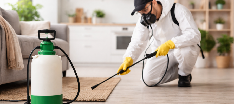 Top Benefits of Regular Pest Control Services