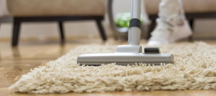 Carpet Dry Cleaning Services Carpet Dry Cleaning Services