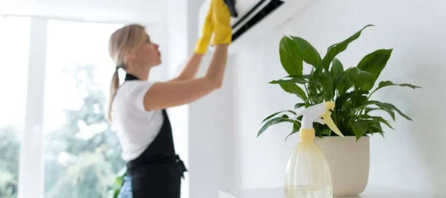 How do Home Deep Cleaning Services improve Indoor Air Quality