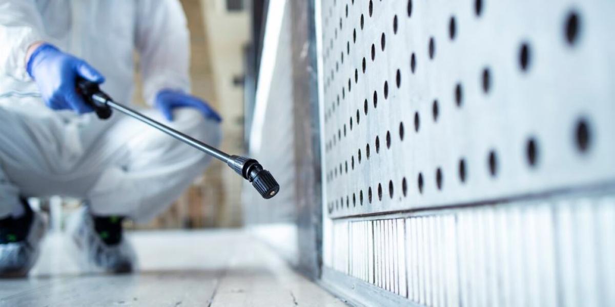 Pest Control Services