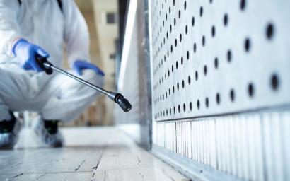 Pest Control Services